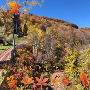 Meet your Posher, Annie